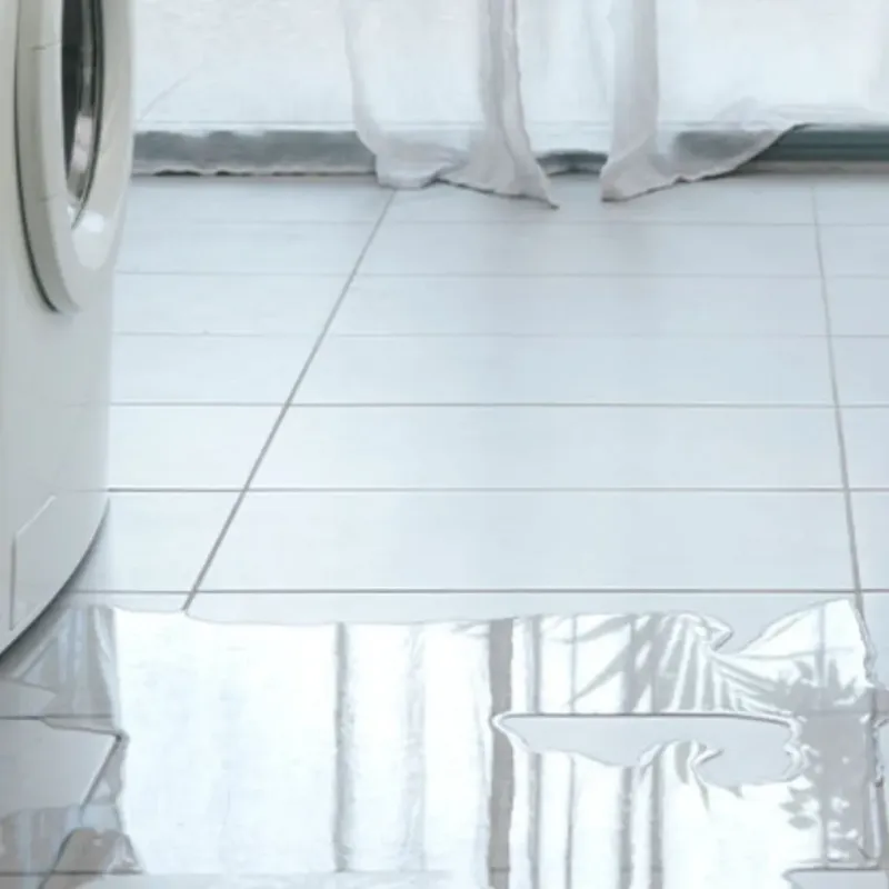 Appliance Leak Cleanup in Rosharon, TX