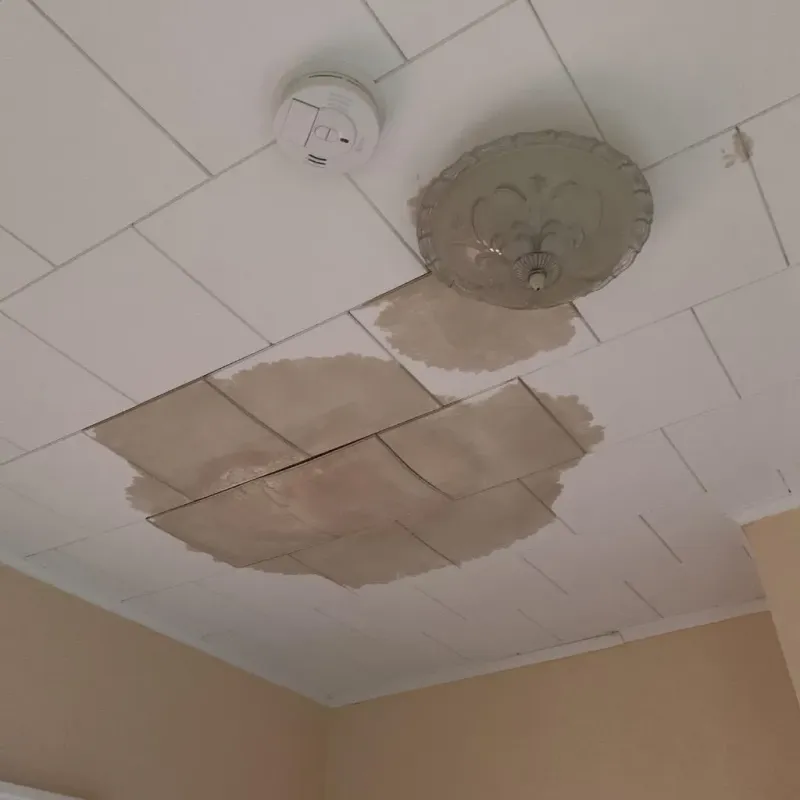 Ceiling Water Damage Repair in Rosharon, TX