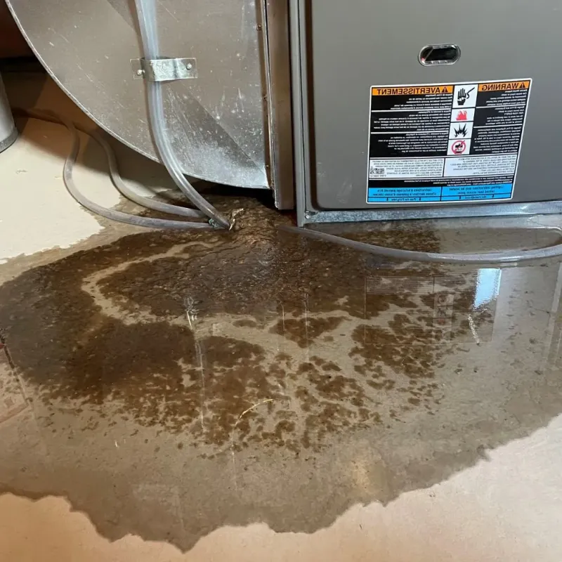 Pipe Burst and Leak Restoration in Rosharon, TX